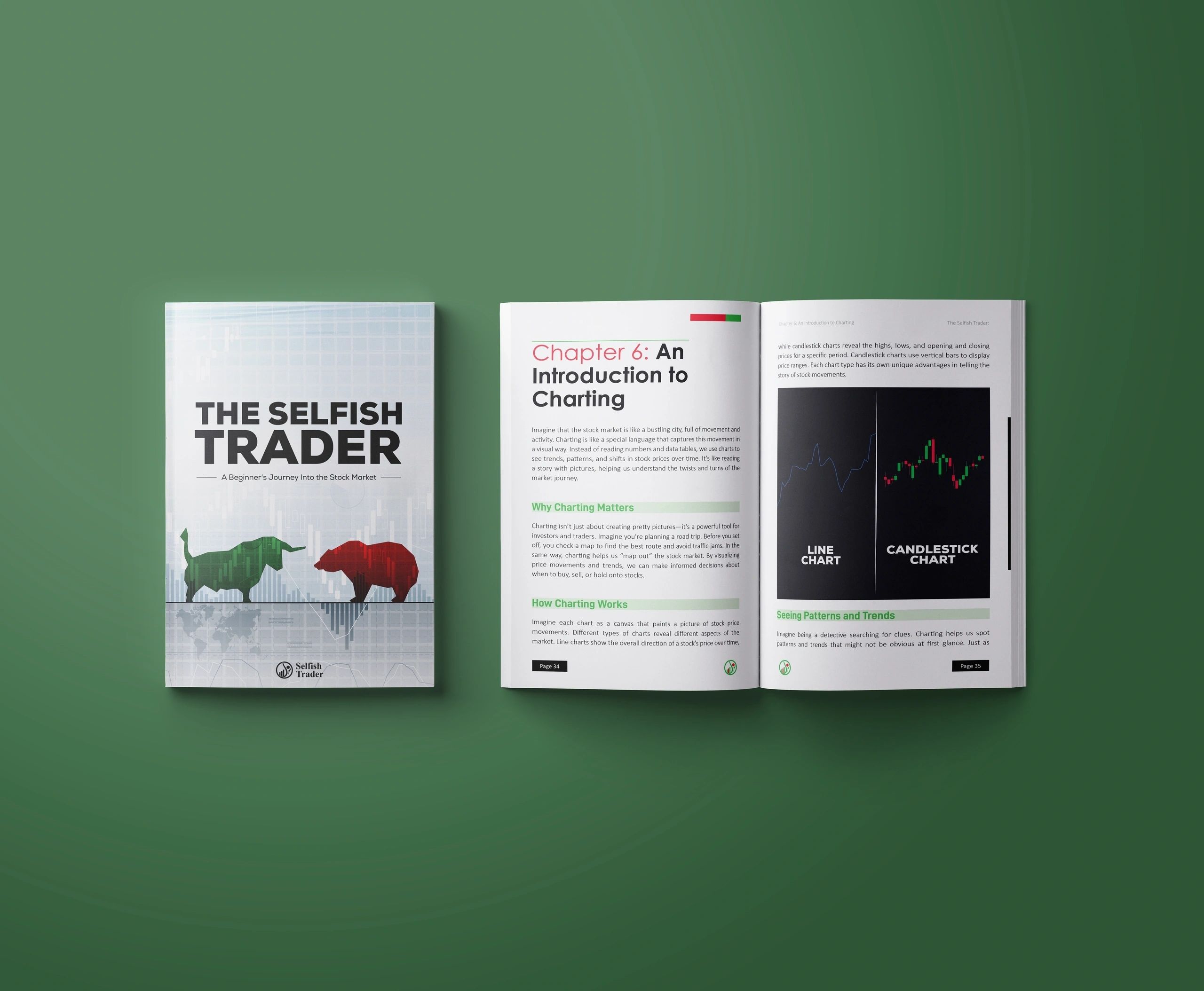 The Selfish Trader: A Beginner's Journey Into the Stock Market by Chris King
